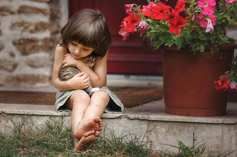 Le bonheur qui ronronne