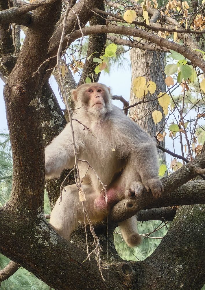 Photograph by Кристина Феминова