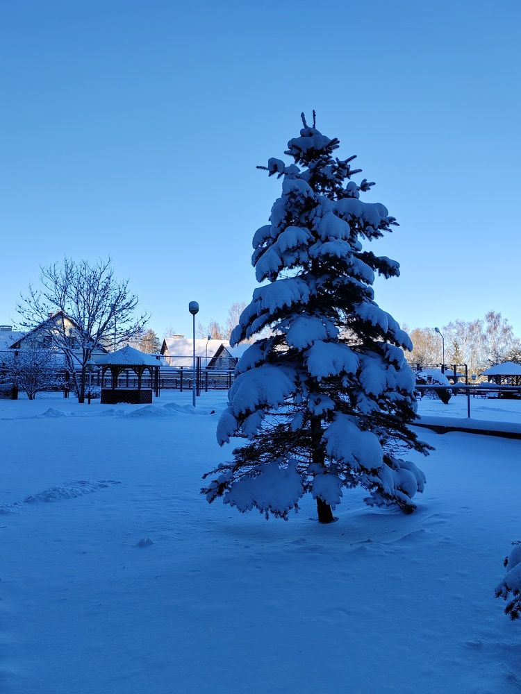 Фотография автора Anna Tsybulskaya