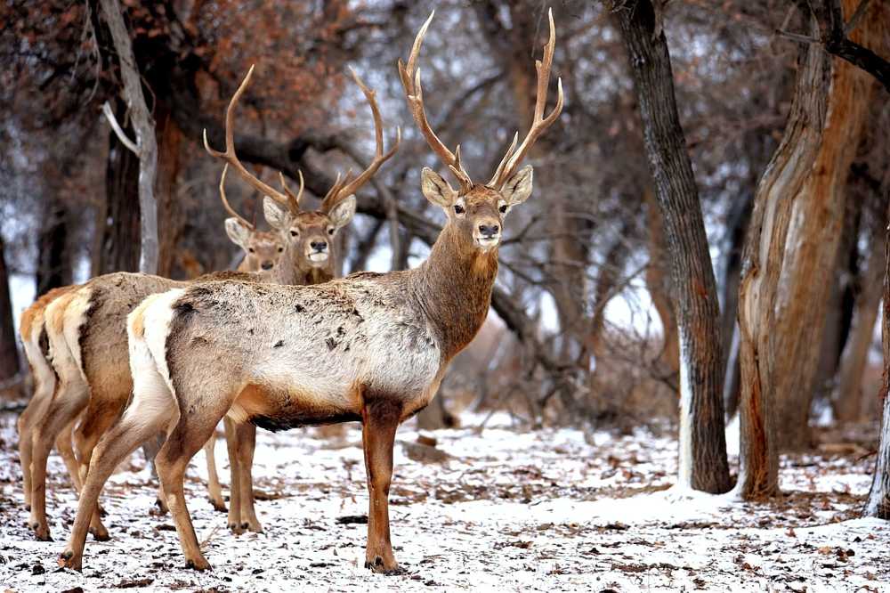 Photograph by Кайрат Карибаев