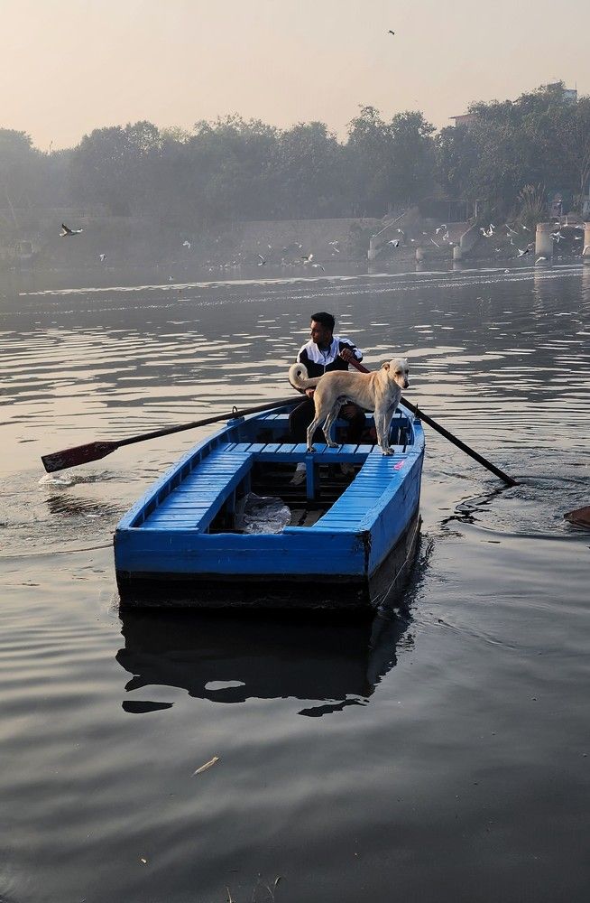 Photograph by G GOVIL