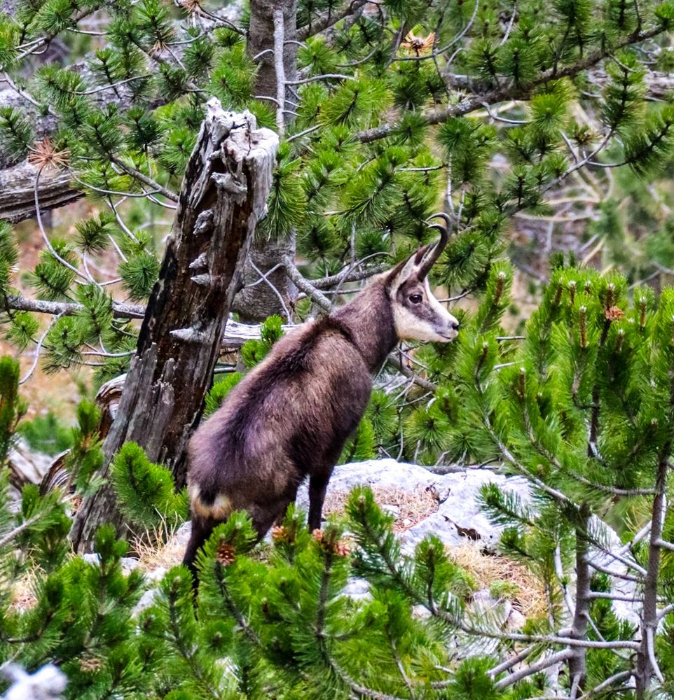 Photograph by Marharyta