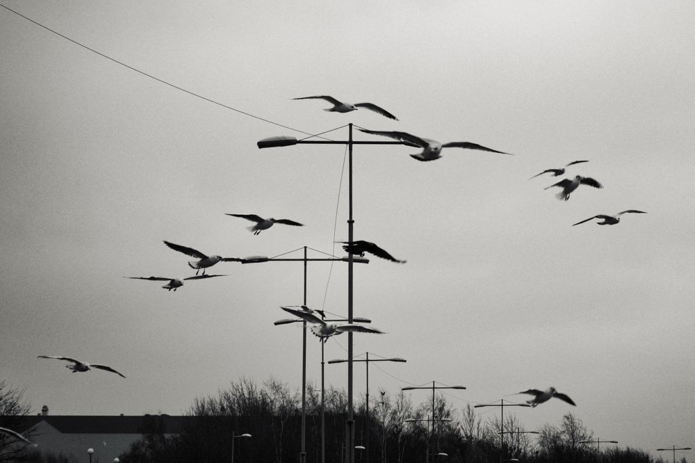 Photograph by Олег Мусин