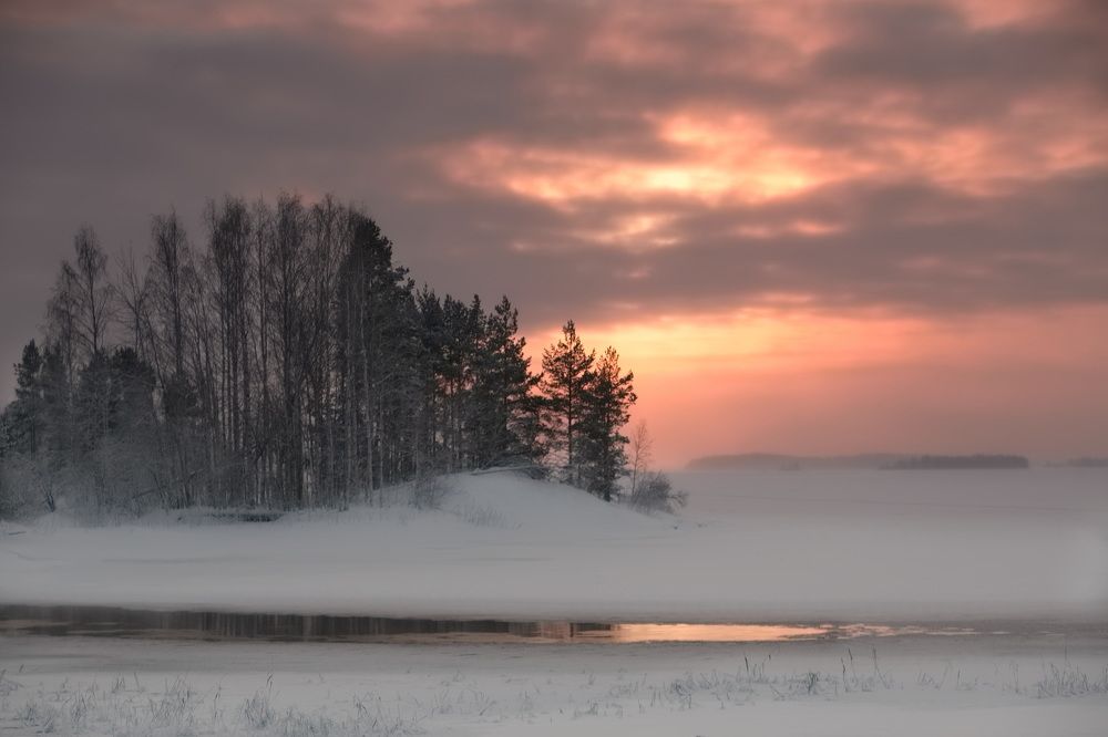 Photograph by Дмитрий Петухов