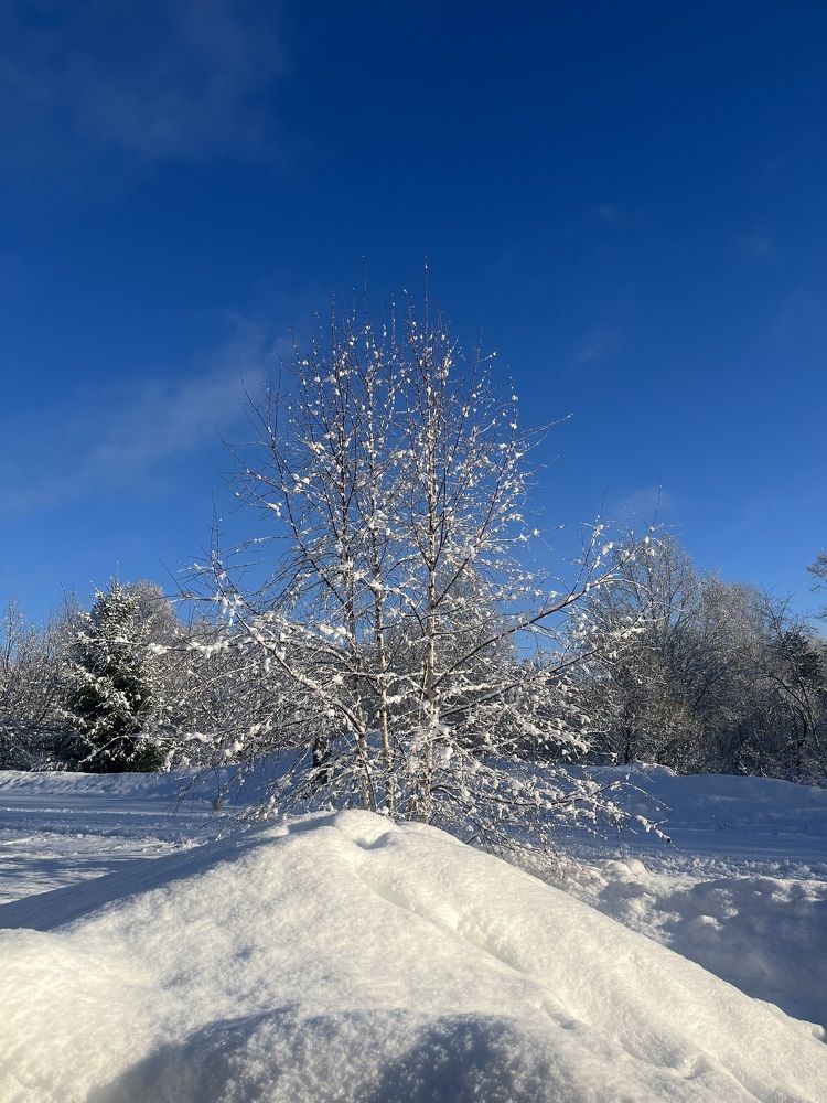 Photograph by Анастасия Бардыкина