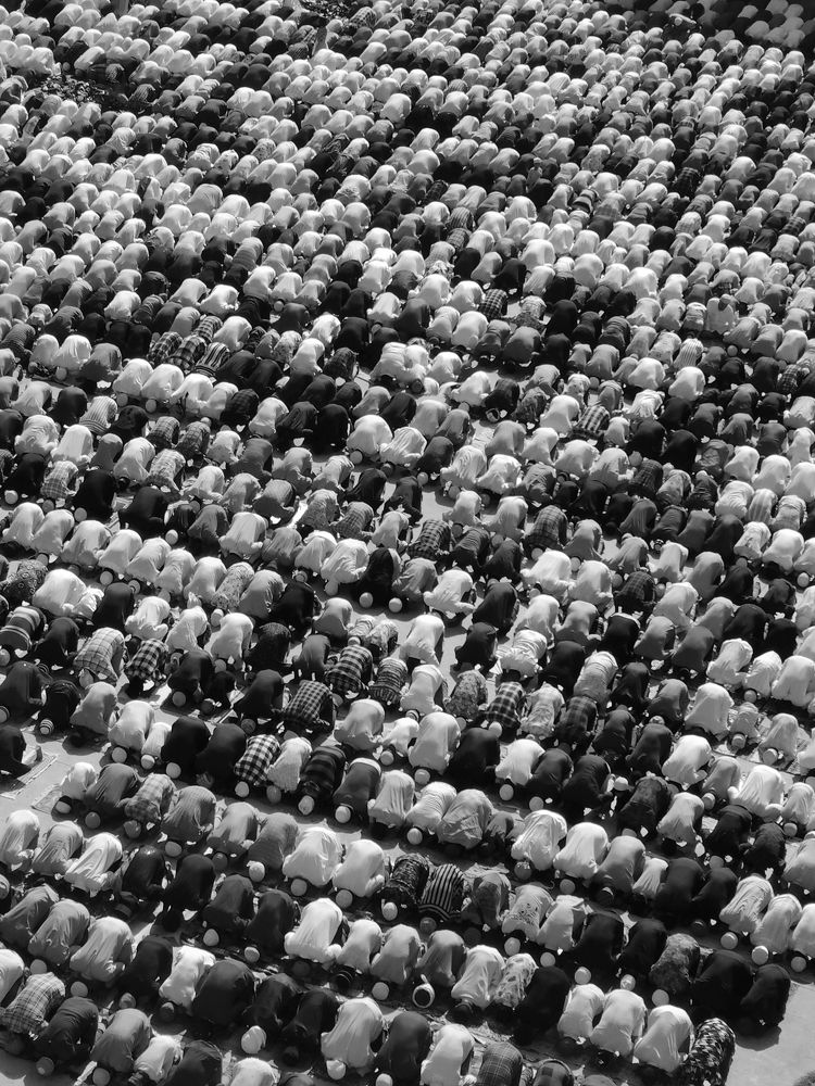 Photograph by Muhammed Asharaf km