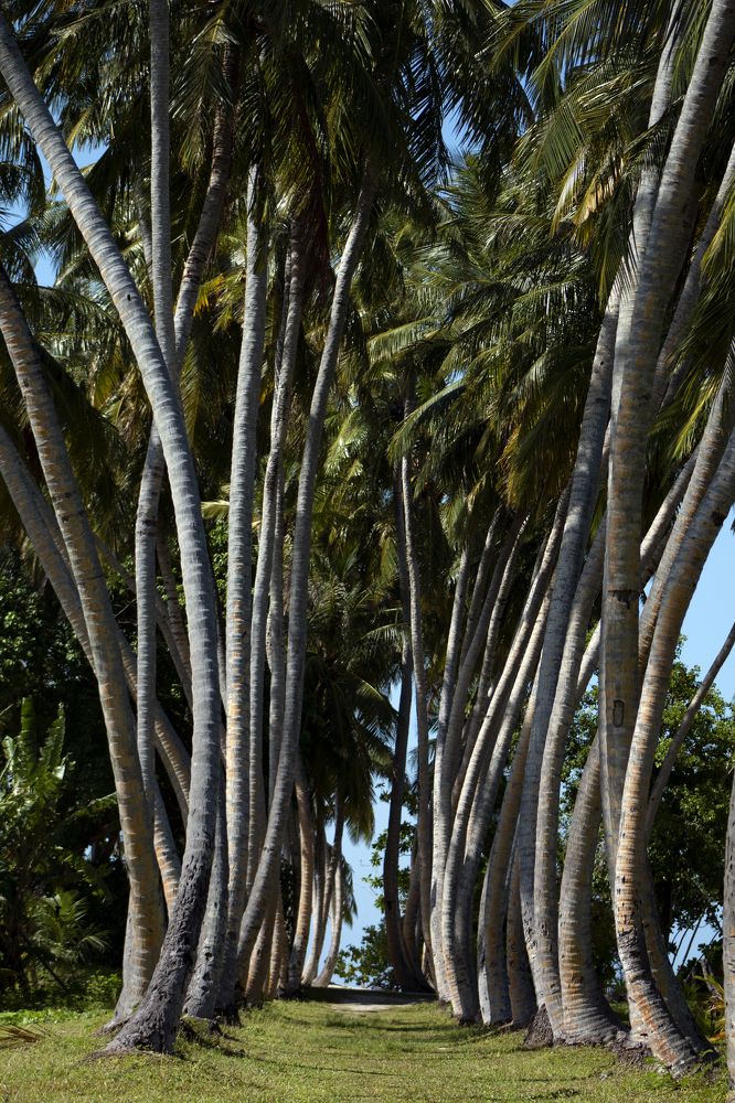 Photograph by Владислав