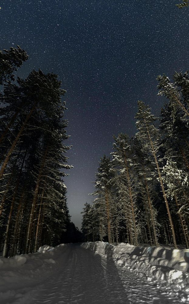 Photograph by Игорь Семеновский