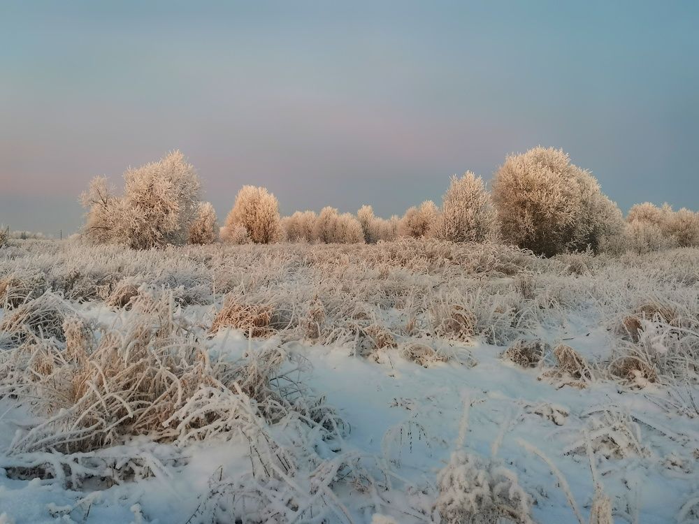 Фотография автора Андрей Шестаков
