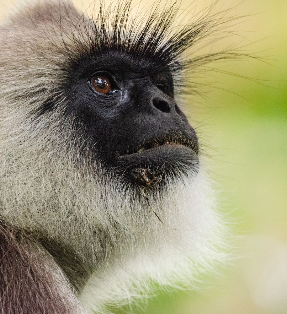 Photograph by Sarasija Ghosh