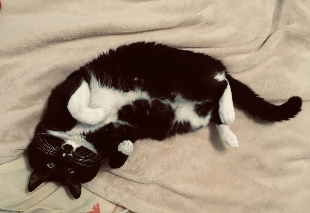 Photograph by Анастасия Бардыкина