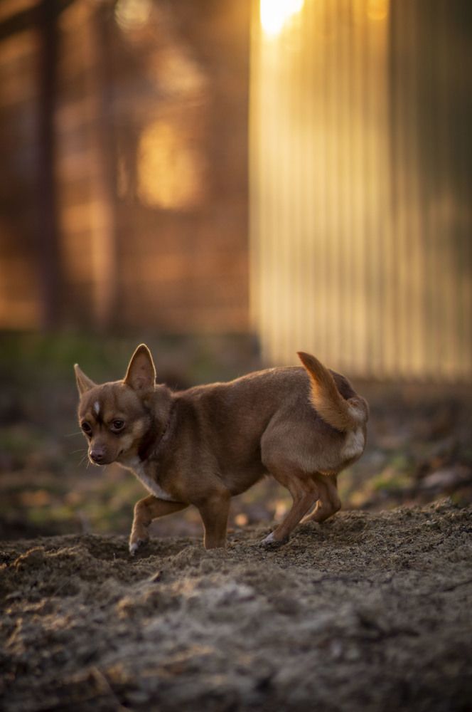 Photograph by Крупченко Роман