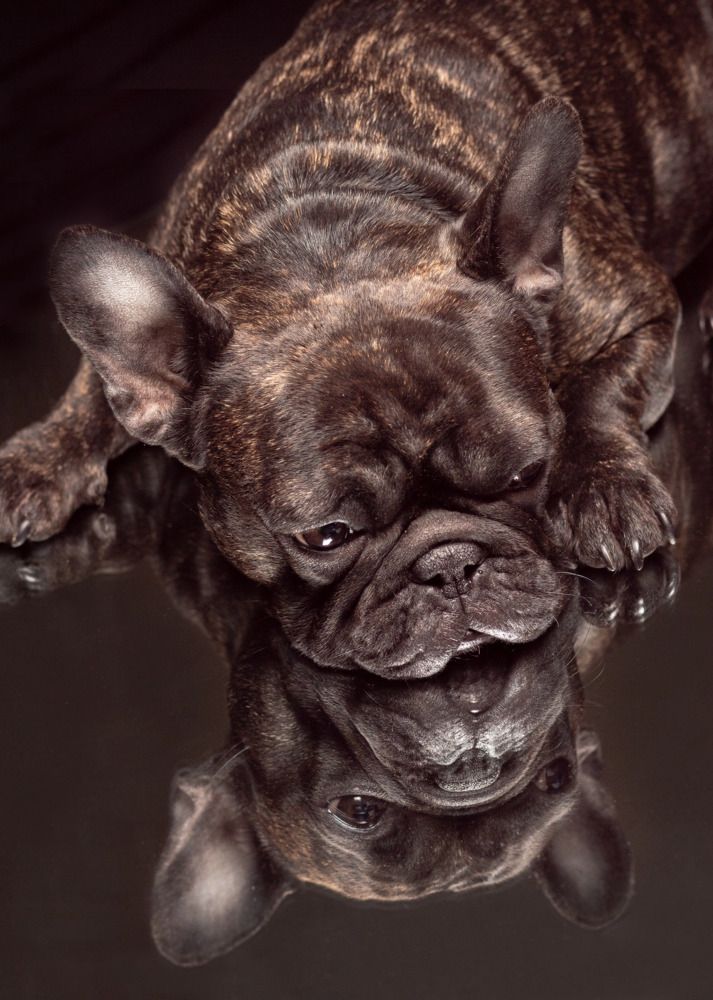 Photograph by Анна Васильева