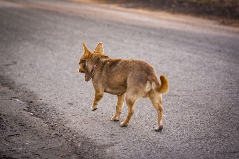 Photograph by Крупченко Роман