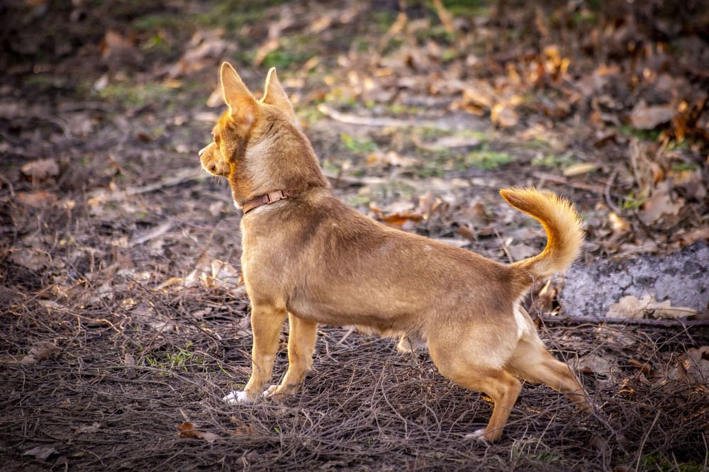 Photograph by Крупченко Роман