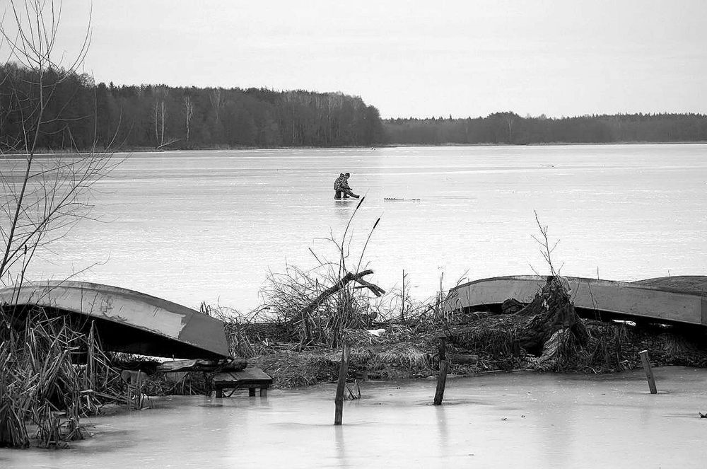 Photograph by Светлана Логинова