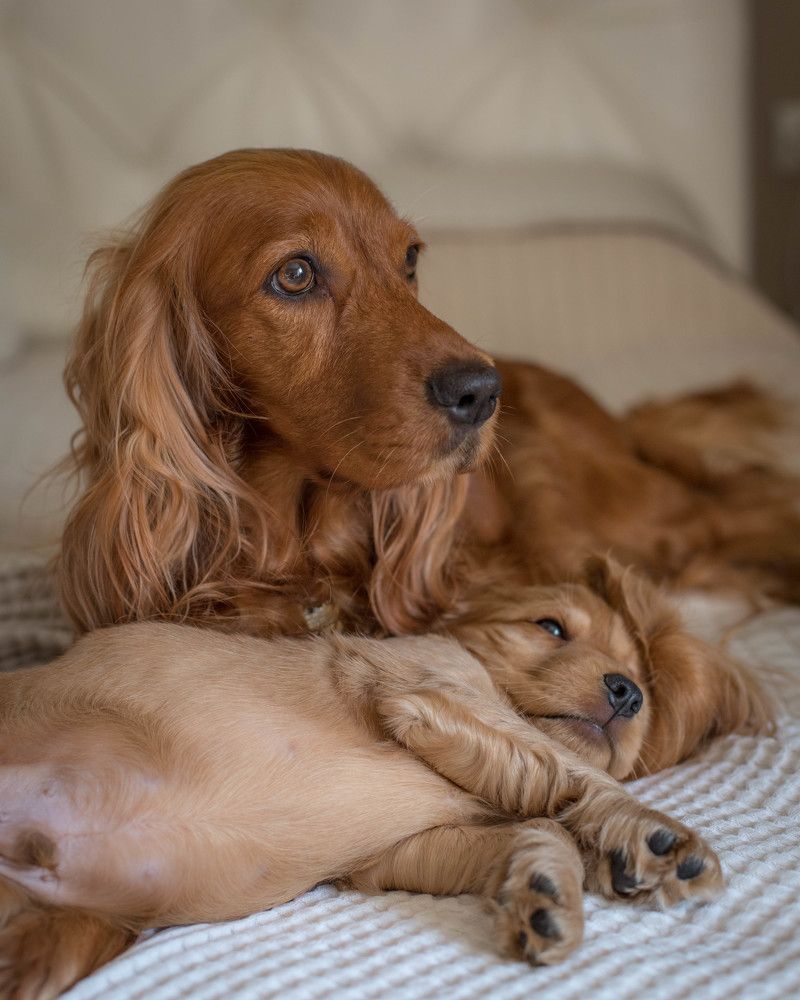 Photograph by Наталья Брюхненко