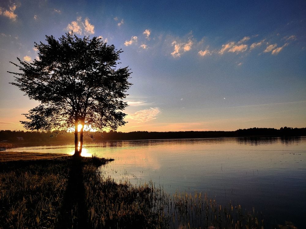 Photograph by Сергей