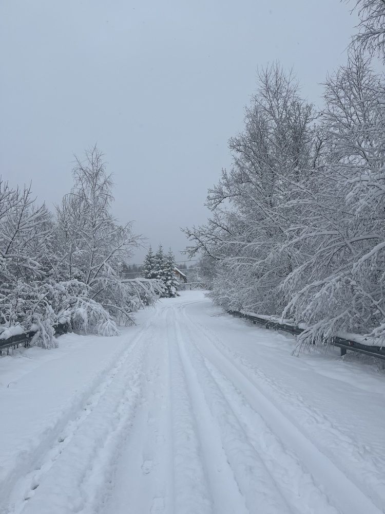 Photograph by Анастасия Бардыкина