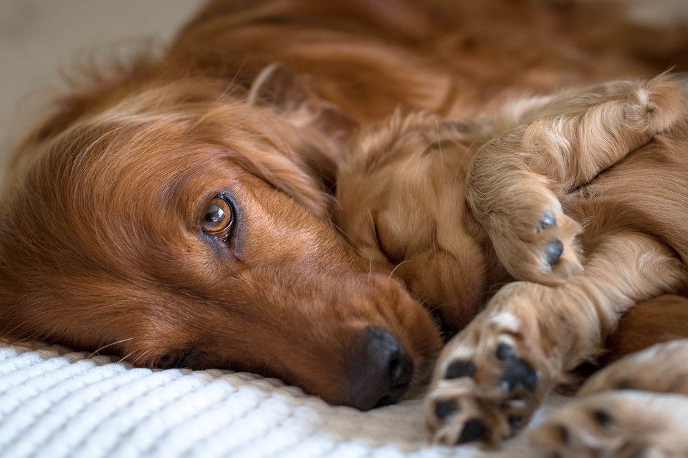 Photograph by Наталья Брюхненко