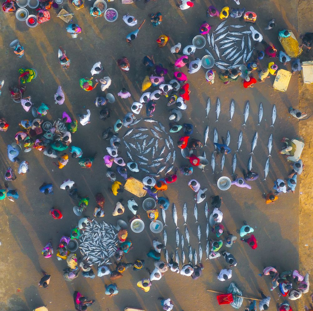 Chaos at fish market