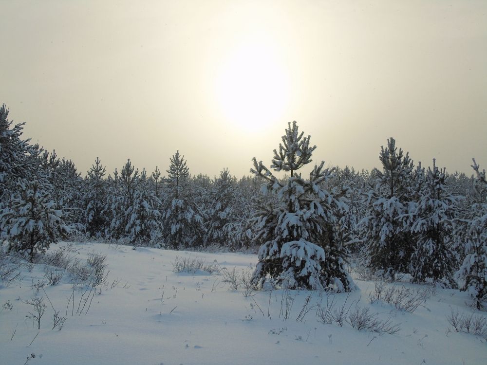 Зимнее солнце