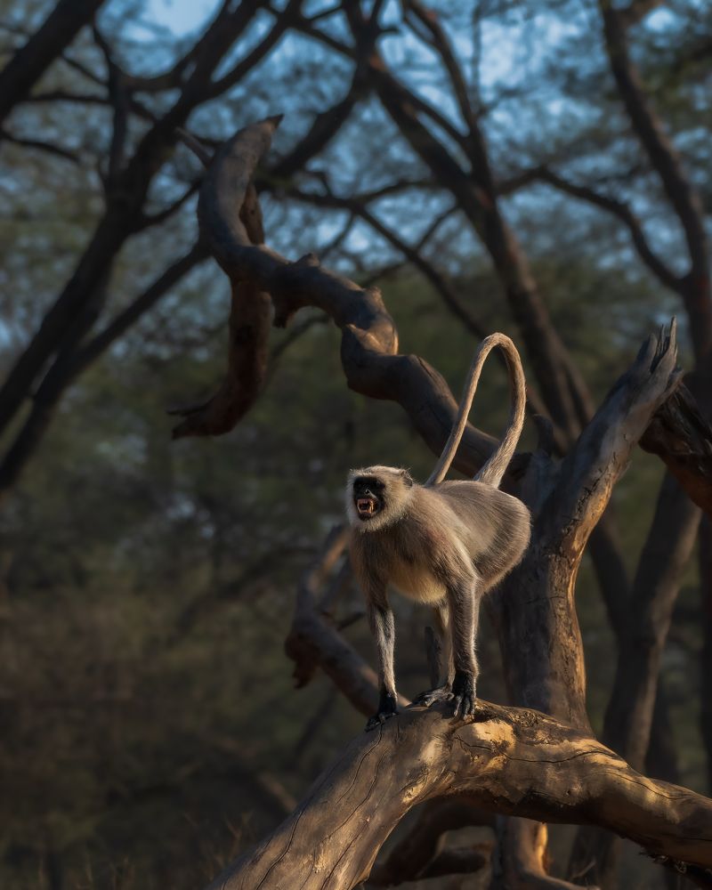 Photograph by Arnold Judson Samuel