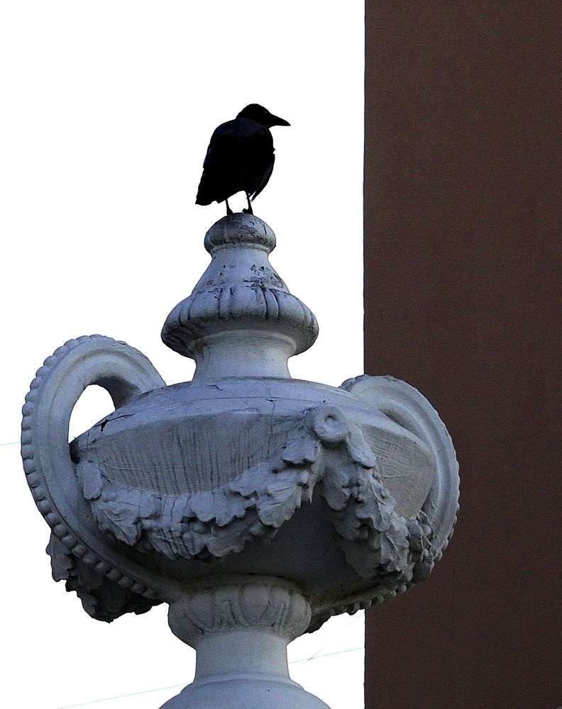 Photograph by Galust Arabyan