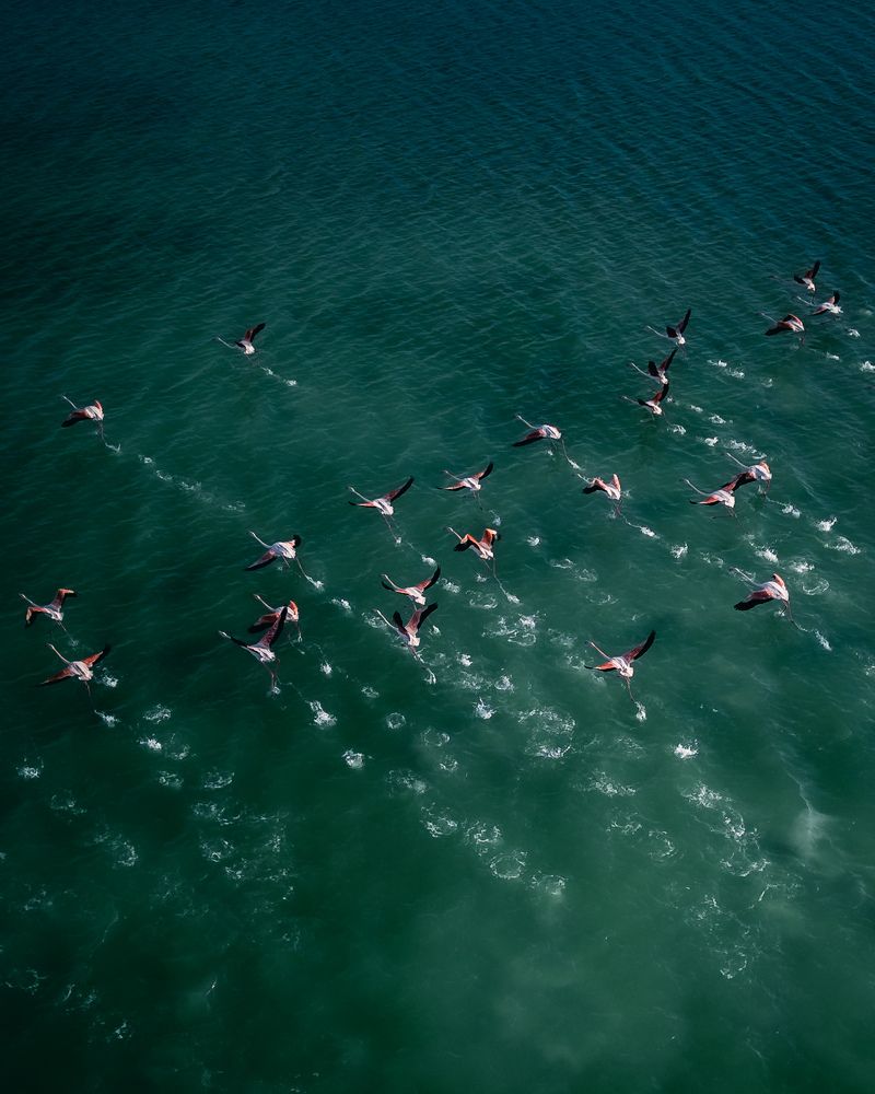 Photograph by Evgeny Pochaev