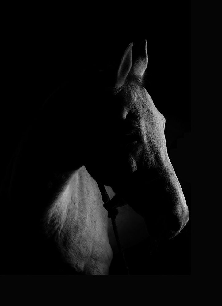 Photograph by Арсен Алабердов