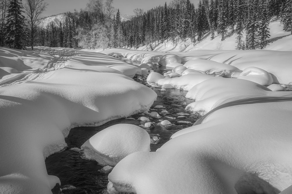 Фотография автора Татьяна Добровольская