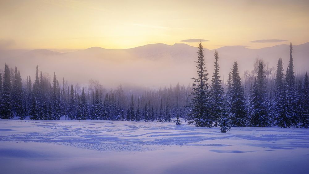 Фотография автора Татьяна Добровольская