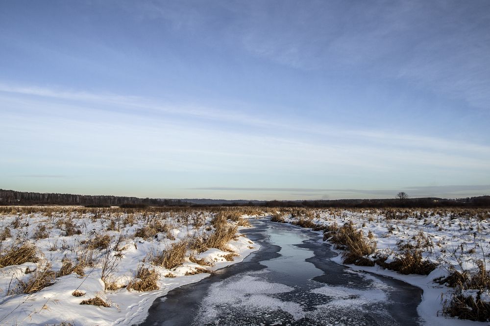 Фотография автора Андрей Рогов