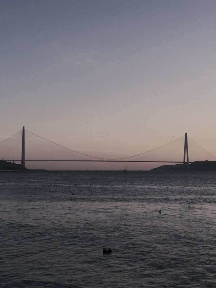 Фотография автора Марина Булатова