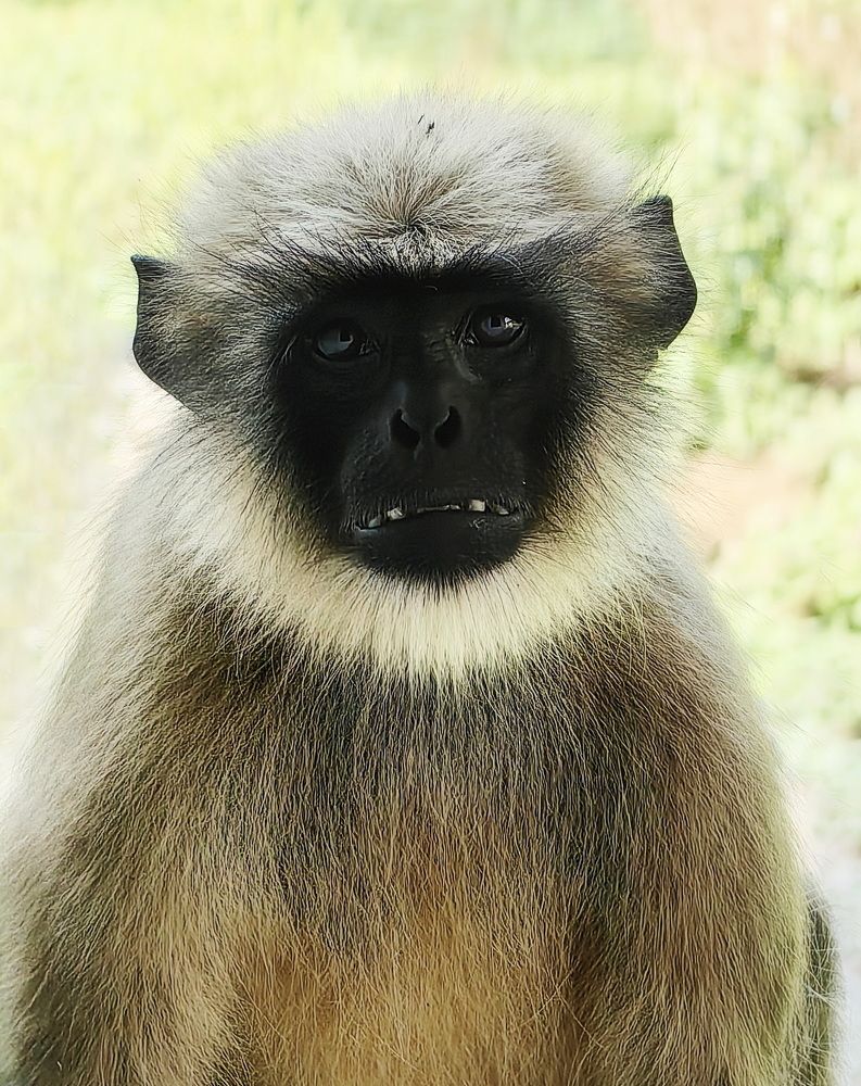 Photograph by Кристина Феминова