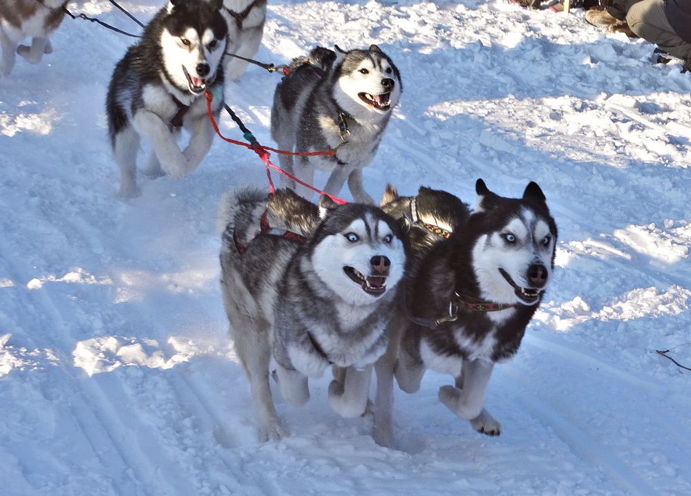 Самые лучшие