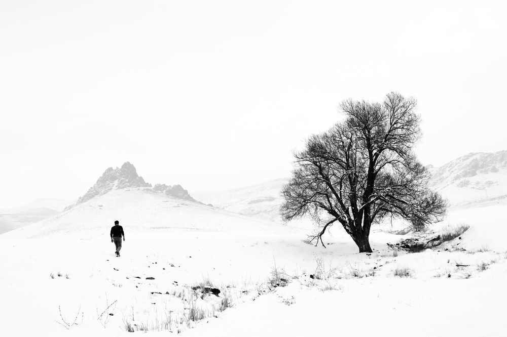 Photograph by Shamal Shakibayi