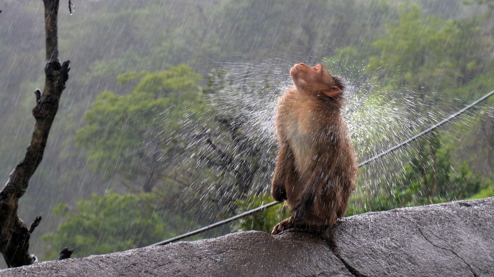 Photograph by prashant kharote