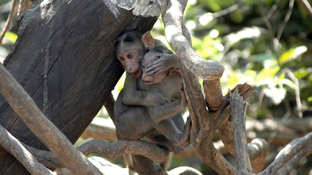 Photograph by prashant kharote