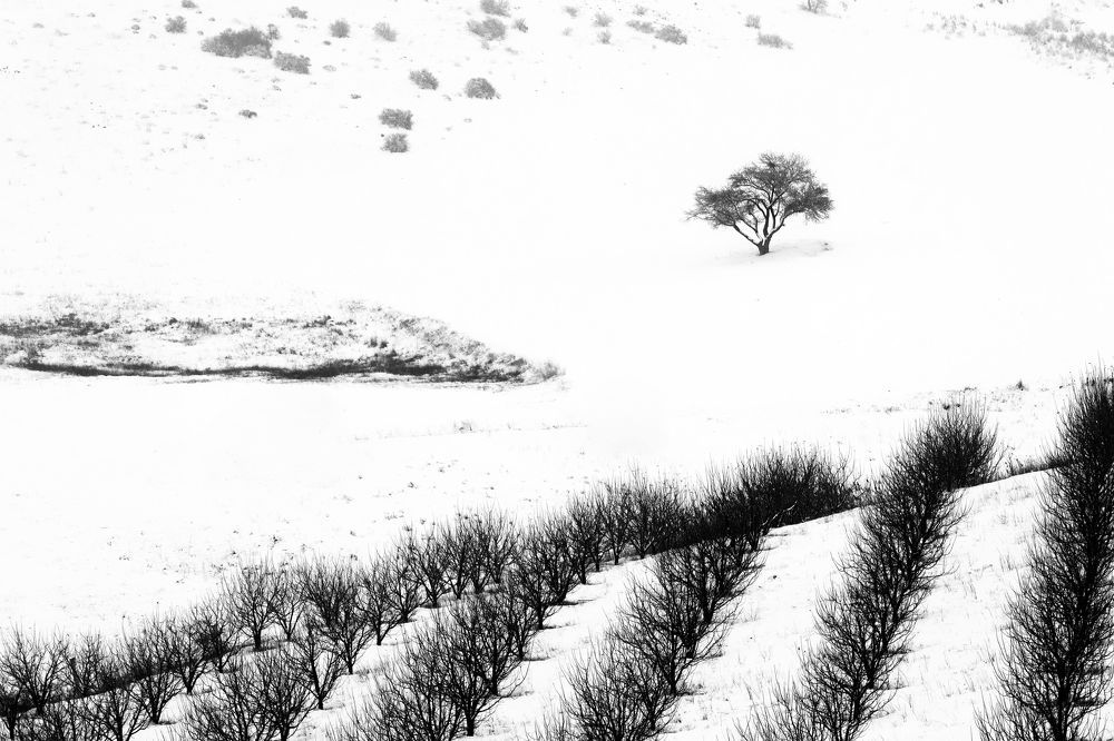 Photograph by Shamal Shakibayi