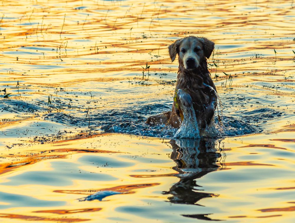 Photograph by Gennadiy Slezkin