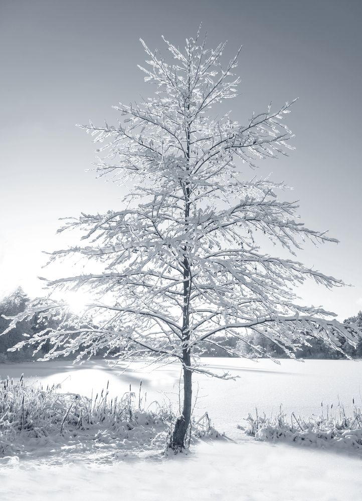 Фотография автора Lija Mežecka