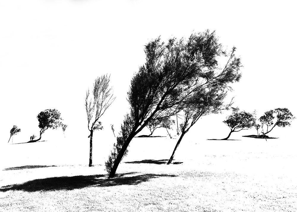 Photograph by Inbal kristin