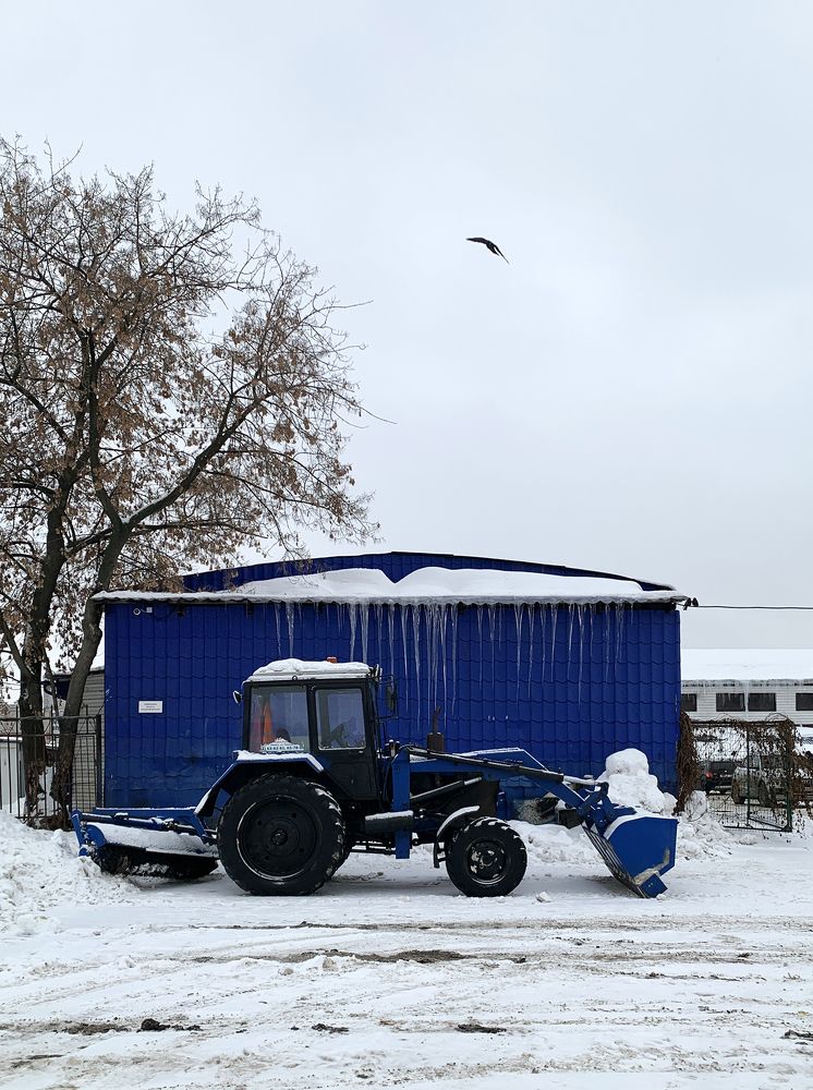 Фотография автора Андрей Рогов