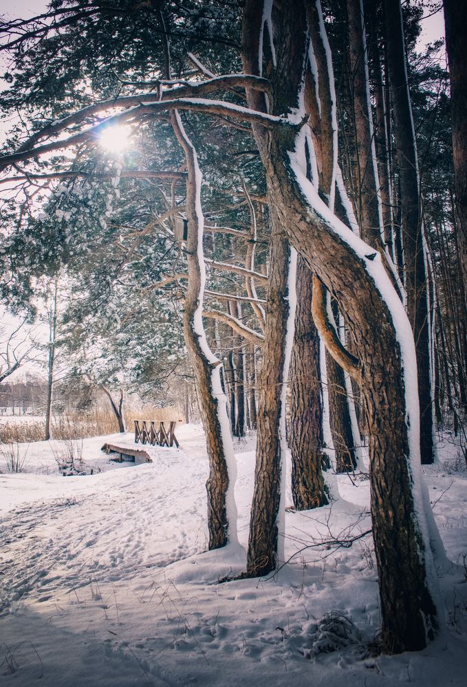 Фотография автора Lija Mežecka