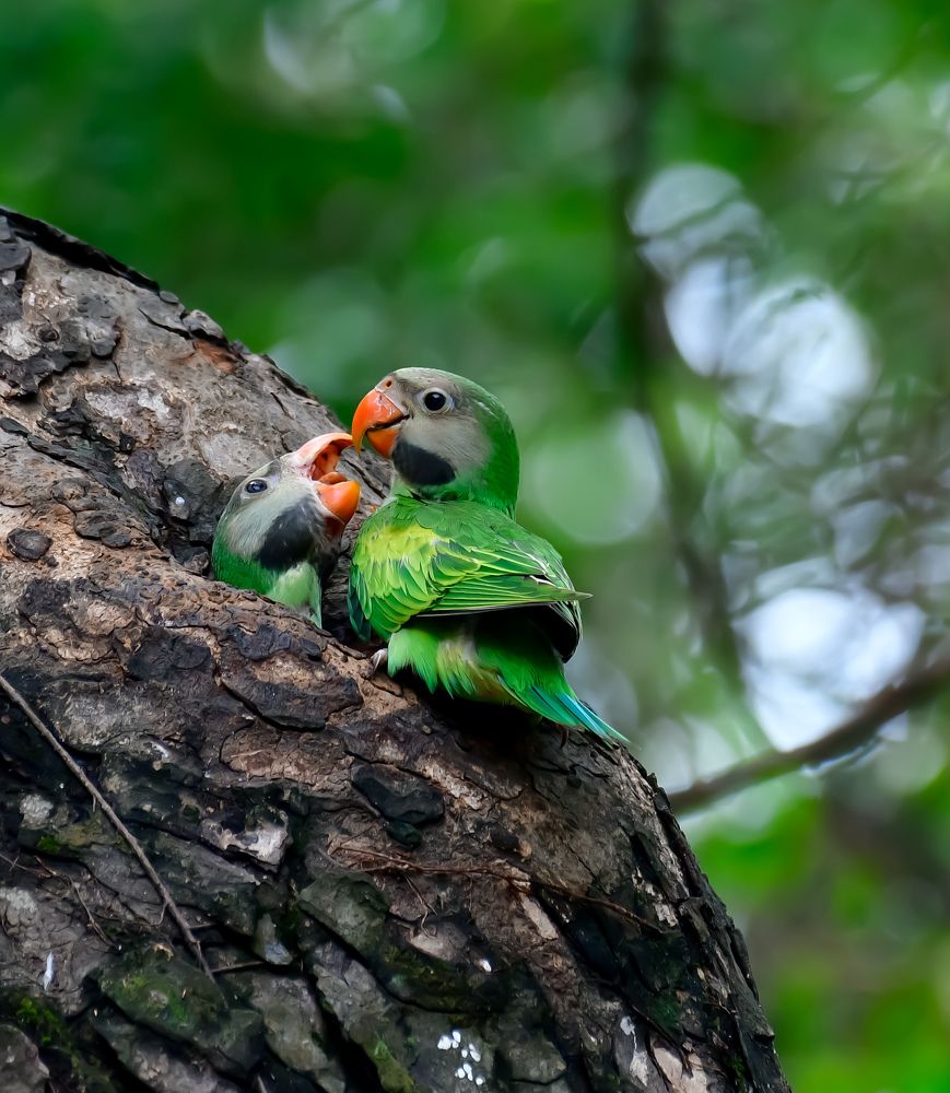 Photograph by Sarbani Chakraborty