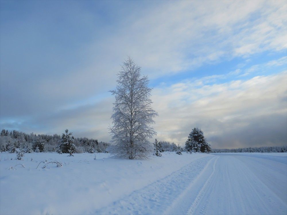 Photograph by Людмила Кононова