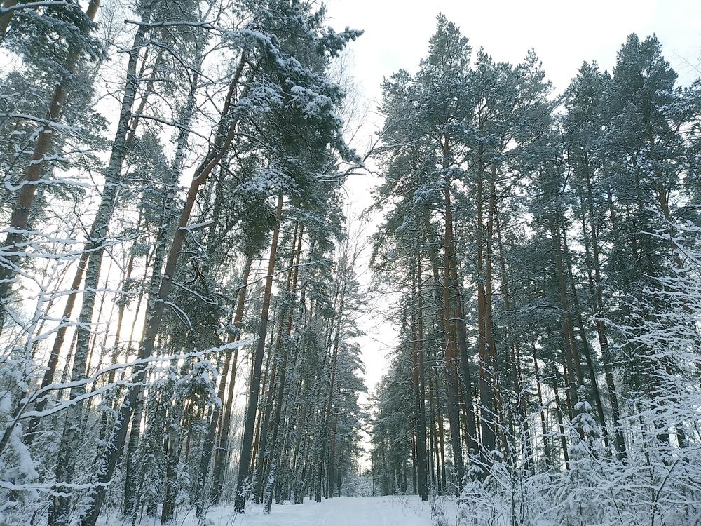 Photograph by Инна Голубева