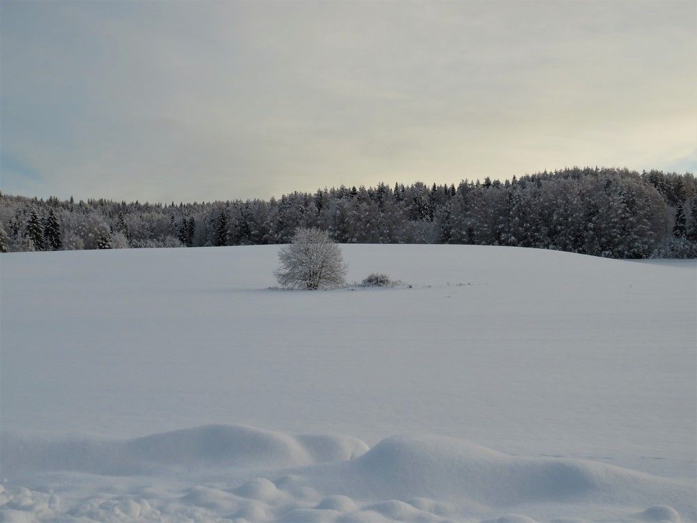 Photograph by Людмила Кононова