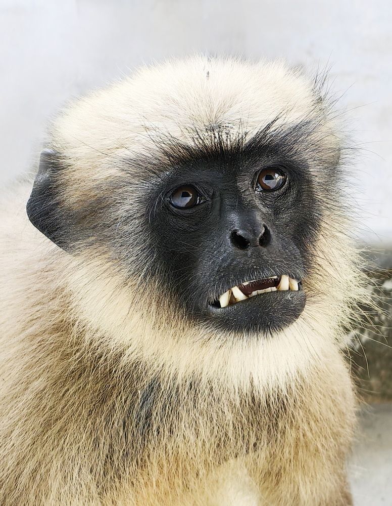 Photograph by Кристина Феминова